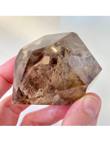 Quartz Lodolite (reconnexion à ta/ton chaman(e)) acheter